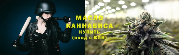 гидра Краснослободск