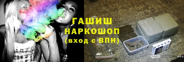 гидра Краснослободск