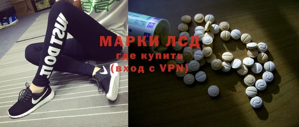 гидра Краснослободск
